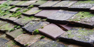 Packington roof repair costs